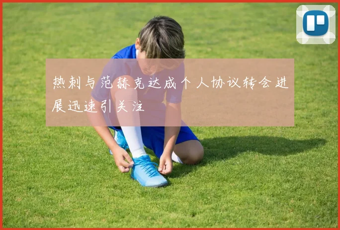 热刺与范赫克达成个人协议转会进展迅速引关注