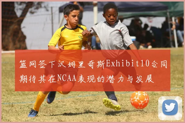 篮网签下汉姆里奇斯Exhibit10合同期待其在NCAA表现的潜力与发展