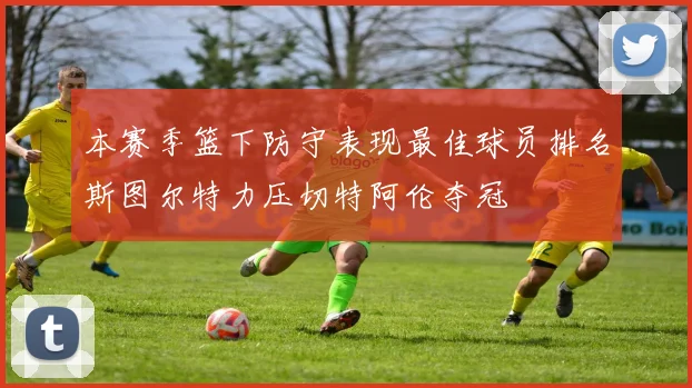 本赛季篮下防守表现最佳球员排名斯图尔特力压切特阿伦夺冠